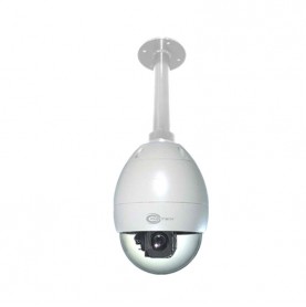 Infrared Sensitive Wall Mounted Outdoor PTZ Dome with 4.-73.mm Varifocal Lens