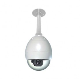 Wall Mounted Outdoor PTZ Dome with 4.-73.mm Varifocal Lens