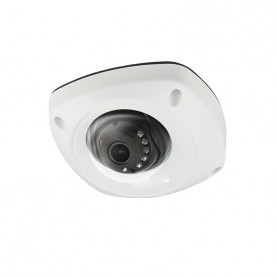 IP 4 Megapixel Outdoor IR Mini Dome with IR 2.8mm Fixed Lens