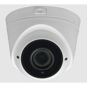ECL-PRO58 5 Megapixel Multiplex Turret Dome Camera