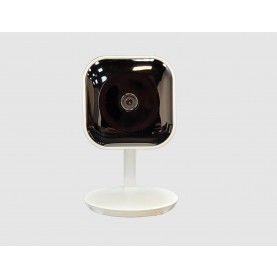 Eclipse Signature ESG-RS200 1080p HD 2MP Wi-Fi Network Security Camera. This compact Wi-Fi enabled camera is designed for indoor use. Built-in IR illumination for up to 32ft.