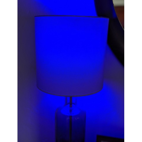 ECL-SM300 Wi-Fi Smart Home Light Bulb